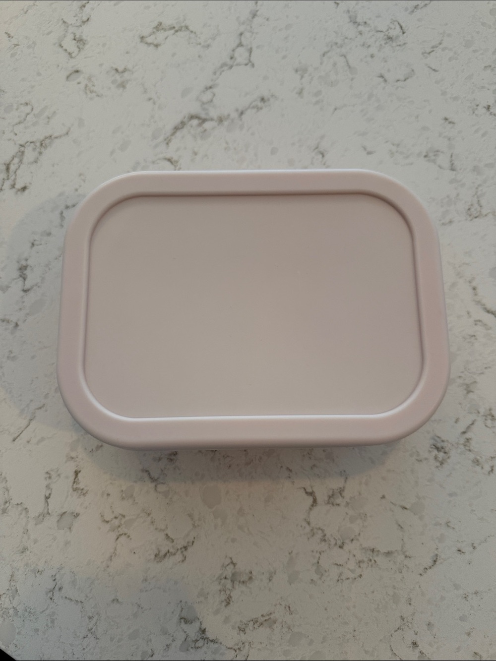 Pottery Barn Kids Rubber Lunch Box
